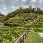 Almi House - Colline Del Prosecco Ferienhaus Soligo