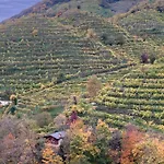 Almi House - Colline Del Prosecco * Soligo