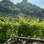 Almi House - Colline Del Prosecco Soligo