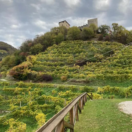 Almi House - Colline Del Prosecco Nyaraló Soligo