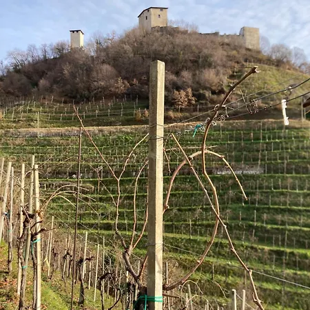 Almi House - Colline Del Prosecco Σπίτι διακοπών *