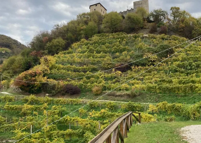 Almi House - Colline Del Prosecco Tatil Evi Soligo