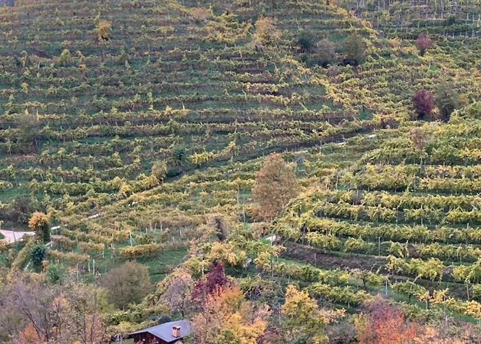 Almi House - Colline Del Prosecco * Soligo