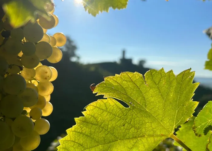 Nyaraló Almi House - Colline Del Prosecco