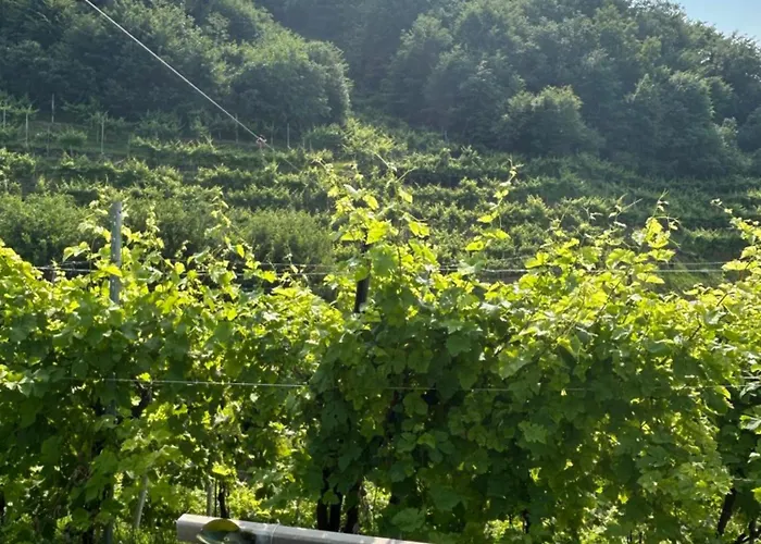 Almi House - Colline Del Prosecco Soligo