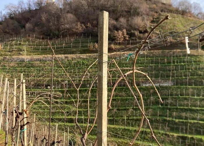 Almi House - Colline Del Prosecco Nyaraló *