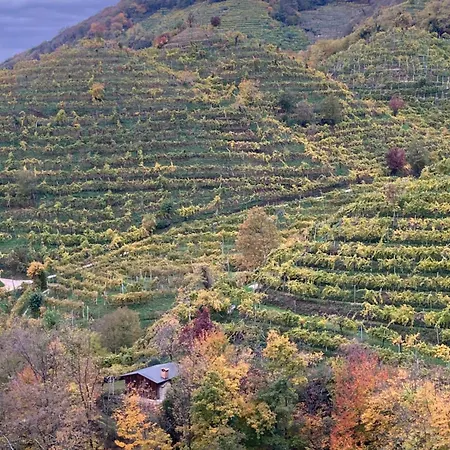 Almi House - Colline Del Prosecco * Soligo