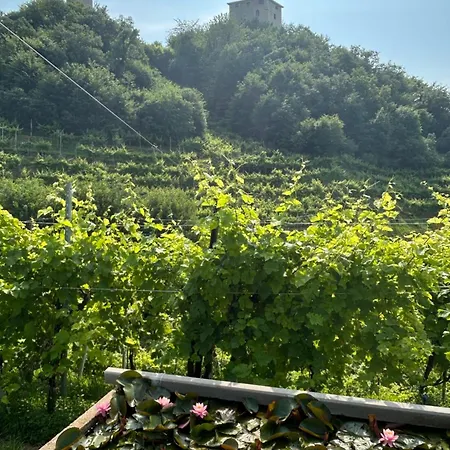 Almi House - Colline Del Prosecco Soligo